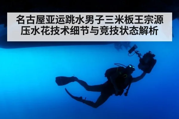 professional diver springboard